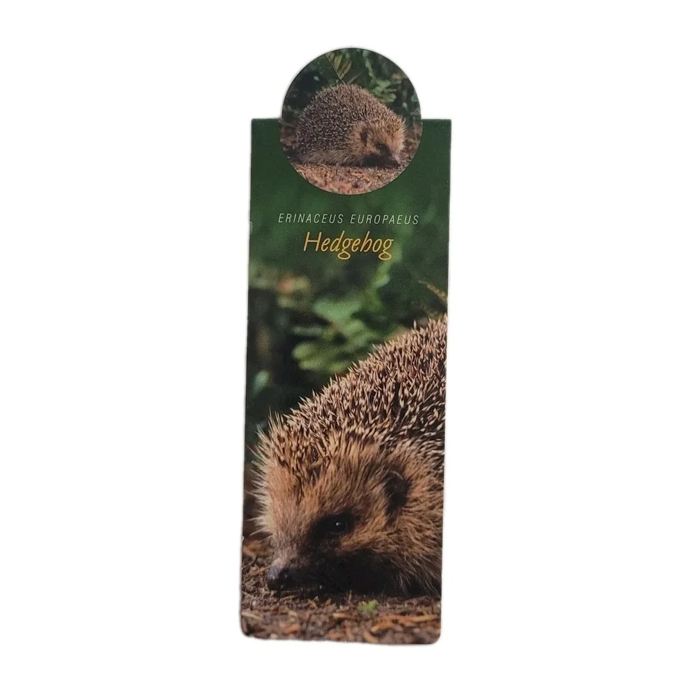 Cardmarks Hedgehog Nature Animal Info Magnetic Magnet UK Company If 2408 Y2k 00s